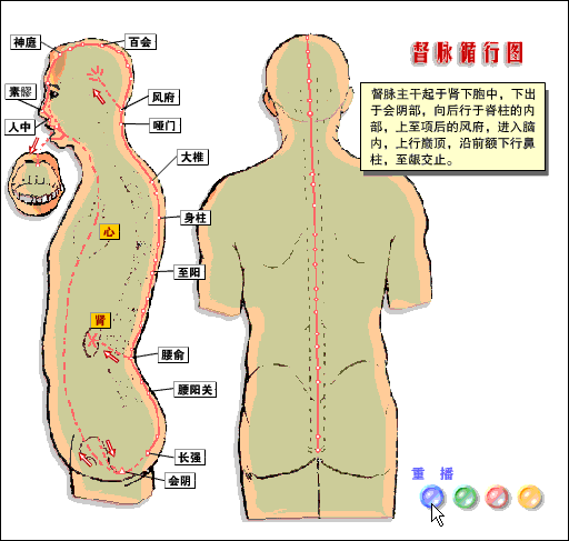 金誉维德通督脉疗法