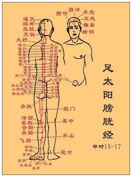 金誉维德通督脉疗法