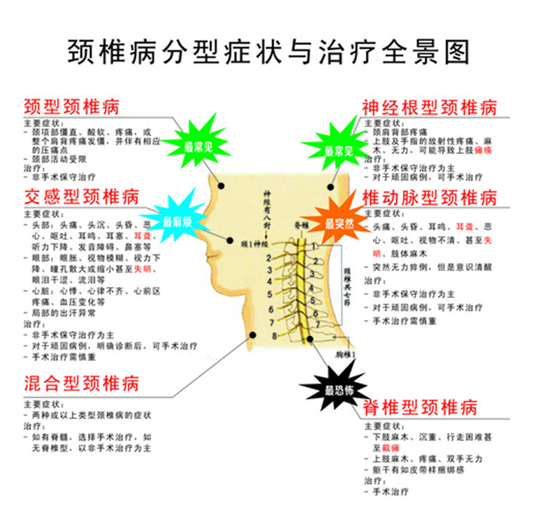 脊椎常见病与预防
